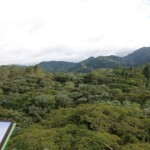 Arenal area from the tower