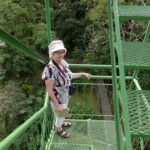 The tower that rises above the cloud forest canopy