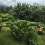 View from our room balcony