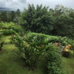 View from our room balcony